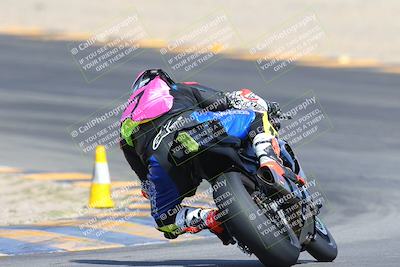 media/Mar-10-2024-SoCal Trackdays (Sun) [[6228d7c590]]/9-Turn 8 Backside (1150am)/